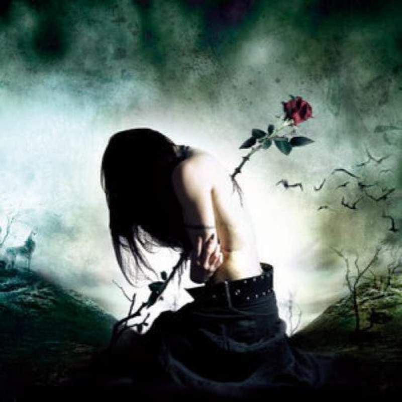 LETRA DE LA NEGRA FLOR letra de la negra flor: